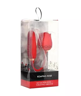 Bloomgasm Romping Rose