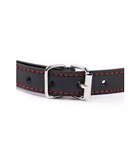 Kinki Woof Bone Bit Gag
