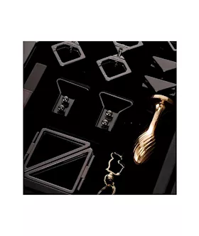 Lockink All-in-1 Bdsm Play Kit - Dark Alligator