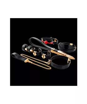 Lockink All-in-1 Bdsm Play Kit - Bullhide
