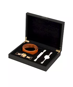 Lockink Ball-gag & Bite-gag Set