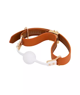 Lockink Ball-gag & Bite-gag Set