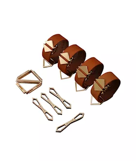 Lockink Hogtie Set
