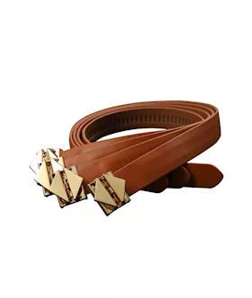 Lockink Hogtie Set