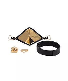 Lockink Golden Punker Muzzle Gag Set 