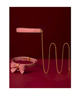 Sevanda Love Heart Butterfly Leash & Collar Set