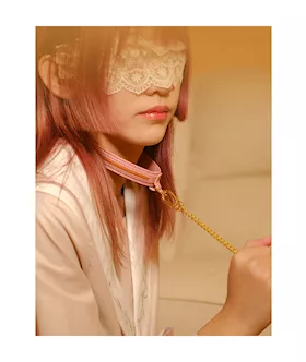 Sevanda Love Heart Butterfly Leash & Collar Set