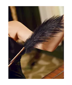 Sevanda Natural Peacock Feather Flirting Tickler