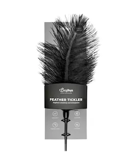 Easytoys Feather Tickler