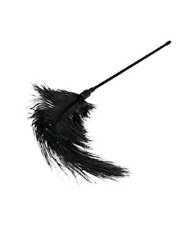Easytoys Feather Tickler