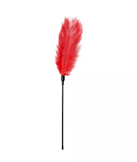 EasyToys Feather Tickler