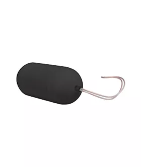 Easytoys Remote Controlled Vibrating Egg