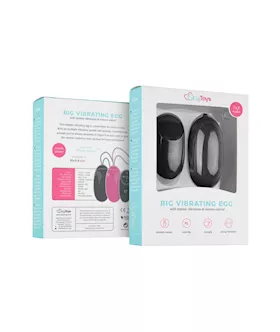 Easytoys Big Vibrating Egg With Remote