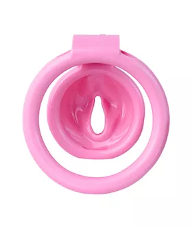 Sissy Faux Vulva Chastity Cage