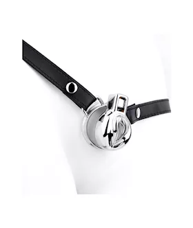 Imprisoned Sissy Stainless Steel Chastity Cage With Belt