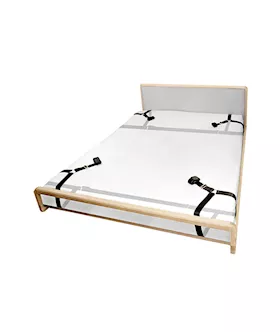 Newa Bed Restraint Straps