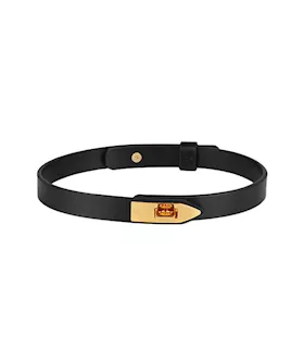 Elegant Collar With Leash