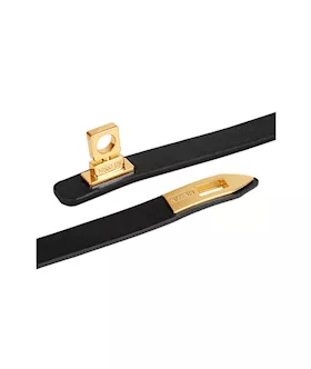 Elegant Collar With Leash