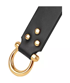 Sensual Smack Long Paddle