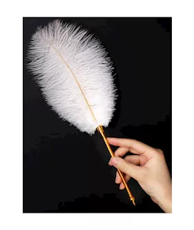 Flirty Feather Tickler