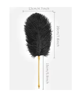 Flirty Feather Tickler