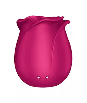 Satisfyer Pro 2 Classic Blossom