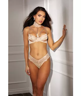 Absolutely Beautiful Stretch Lace Collard Bra & Panty (Goes W/soh31549) Nude 38