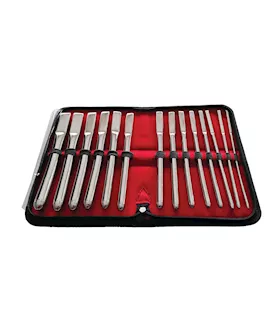 Rouge Stainless Steel Hegar Uterine Dilator Set - Set Of 14