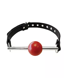 Rouge Leather Ball Gag With Stainless Steel Rod And Removable Ball - Black With Red