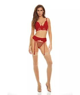 Bombshell Boudoir Lace & Mesh Peek A Boo Wire Bra, Garter Belt & G-string Red Sm