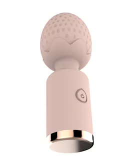 Sweet Strawb Wand Vibrator
