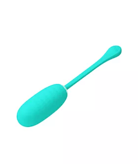 Kirk Vibrating Love Egg