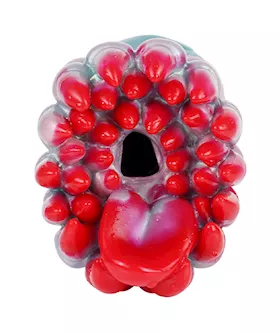 Voracious Worm Fantasy Masturbator