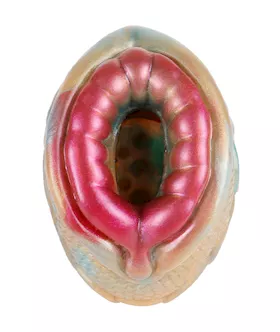 Flirty Fish Fantasy Masturbator