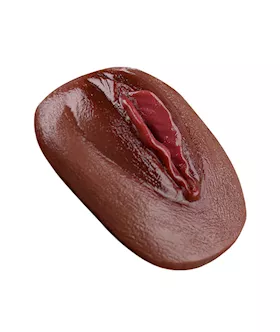Vagina Panty Pad