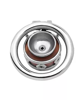 Sissy Switch Inverted Chastity Cage