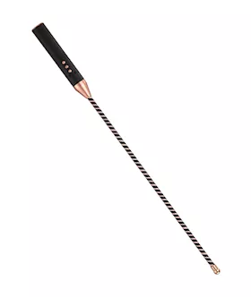 Passionate Electrostim Rod