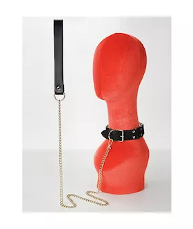 Traction Collar