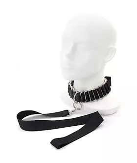 Lug Collar Restraint With Leash