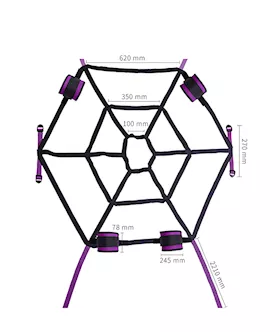 Web Bed Restraint Set