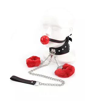 Hush Collar & Gag Set
