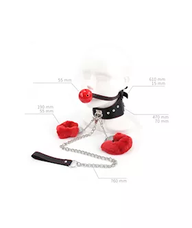 Hush Collar & Gag Set