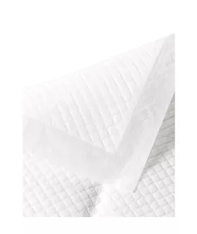 Disposable Waterproof Sheet