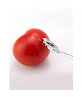 Tableware Wartenberg Pinwheel