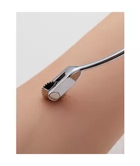 Tableware Wartenberg Pinwheel
