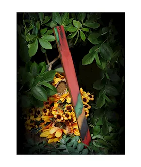 Colourwood Ruler Paddle