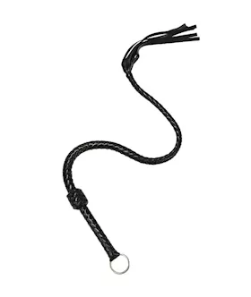 Twisting Snake Whip