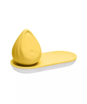 Evii Vibrator