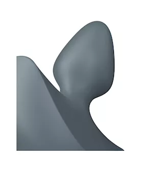 Satisfyer Booty Absolute Beginners 1
