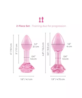 B Vibe Pink Roses Glass Butt Plug Training Set